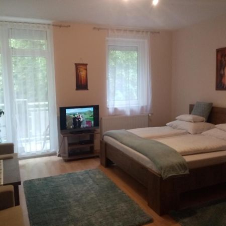 Heviz Lake Apartman Bagian luar foto